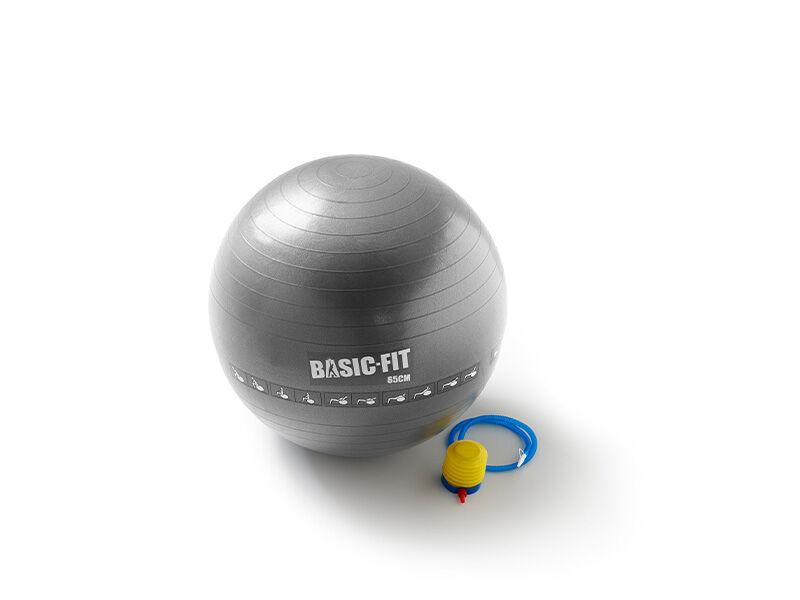 Exercise Ball kopen image number 1
